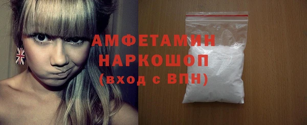 индика Алексин