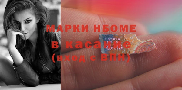 гашик Алексеевка