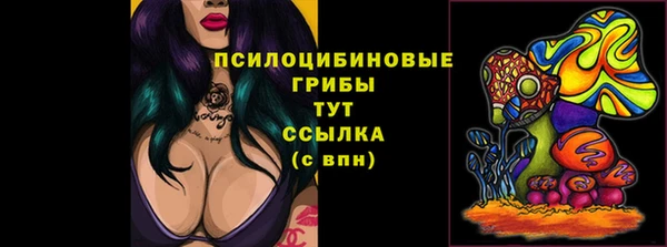 гашик Алексеевка