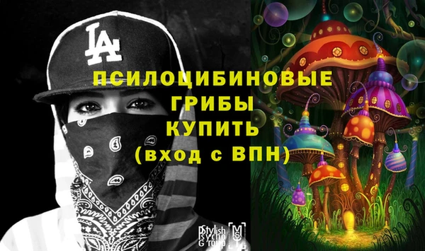 гашик Алексеевка