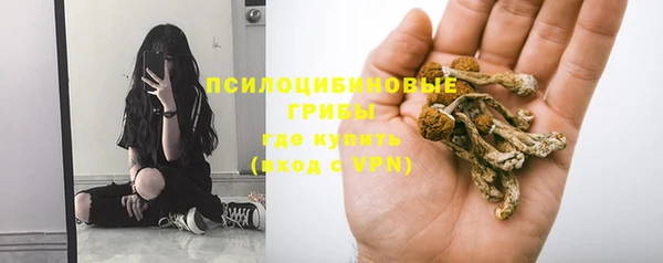 индика Алексин