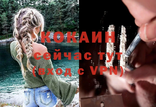 apvp Алзамай