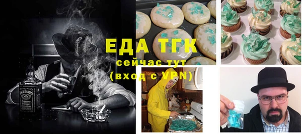 индика Алексин