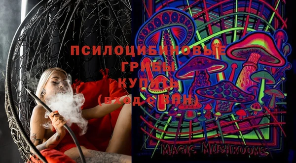 индика Алексин